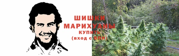 скорость Алзамай