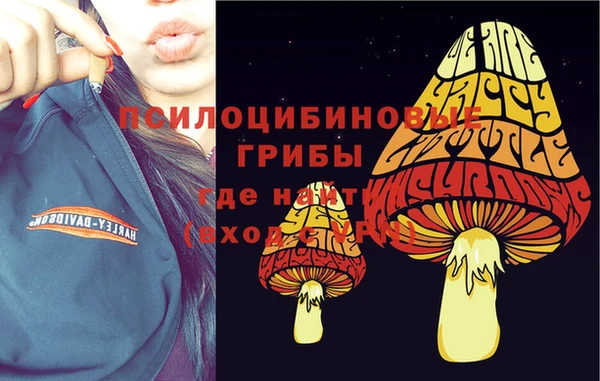 скорость Алзамай
