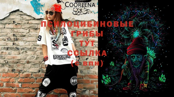 скорость Алзамай