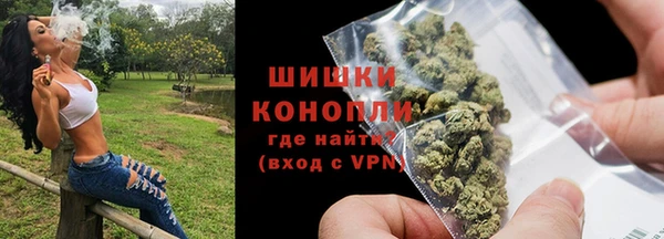 бошки Алексин