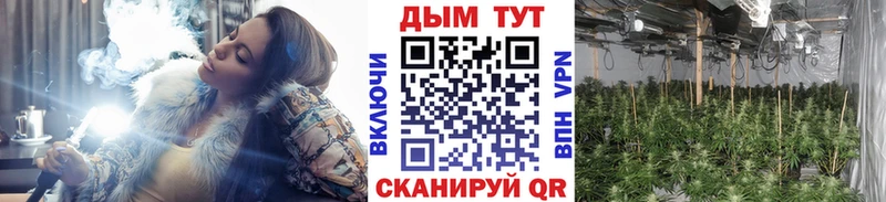 блэк спрут как зайти Звенигово МАРИХУАНА SATIVA & INDICA